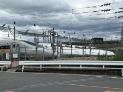 IMG_9519